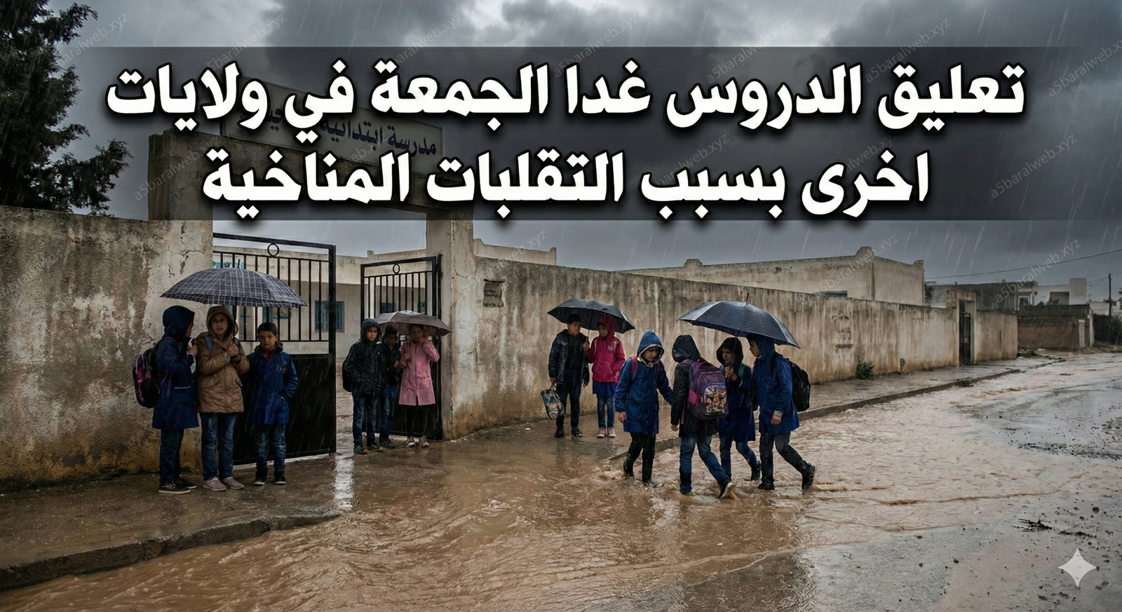 1769719539392 scaled