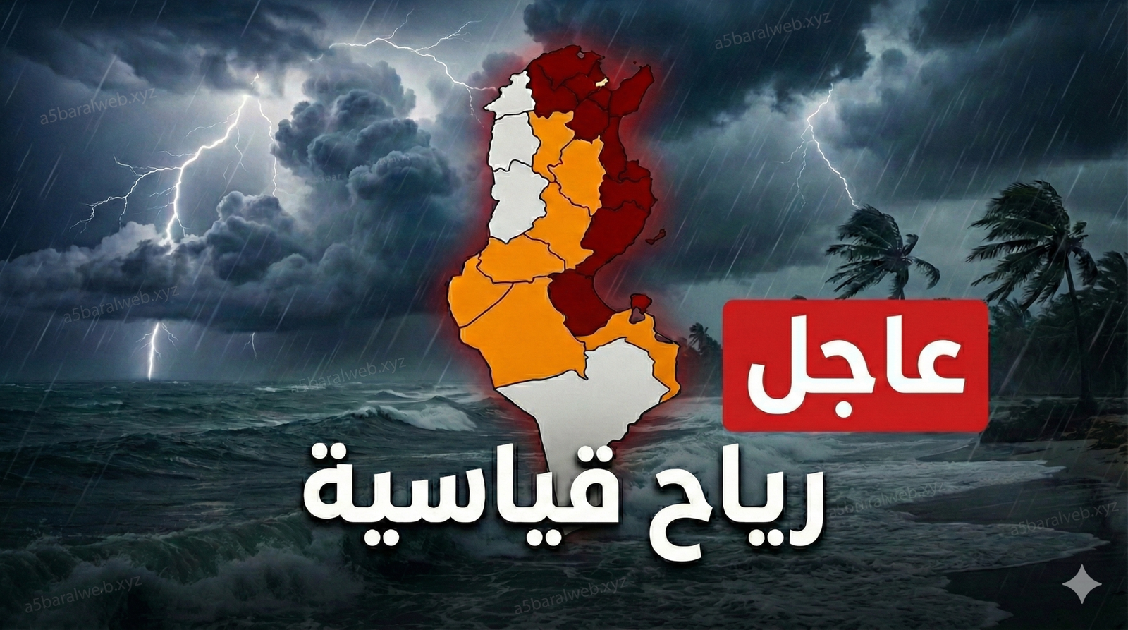 1769955848352 scaled