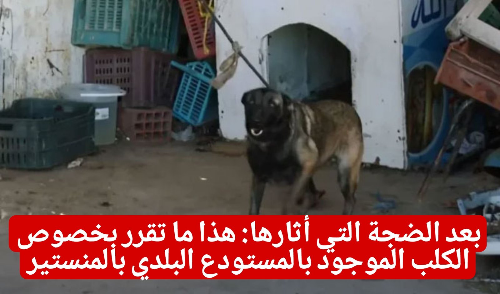 PicsArt 04 08 06.10.07